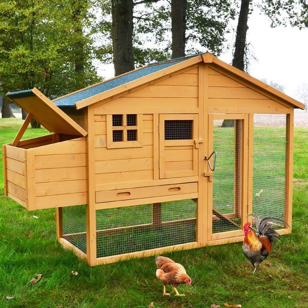 Hühnerstall aus Holz mit integriertem Freigehege, Legenest und wetterfestem Dach auf einer Wiese.