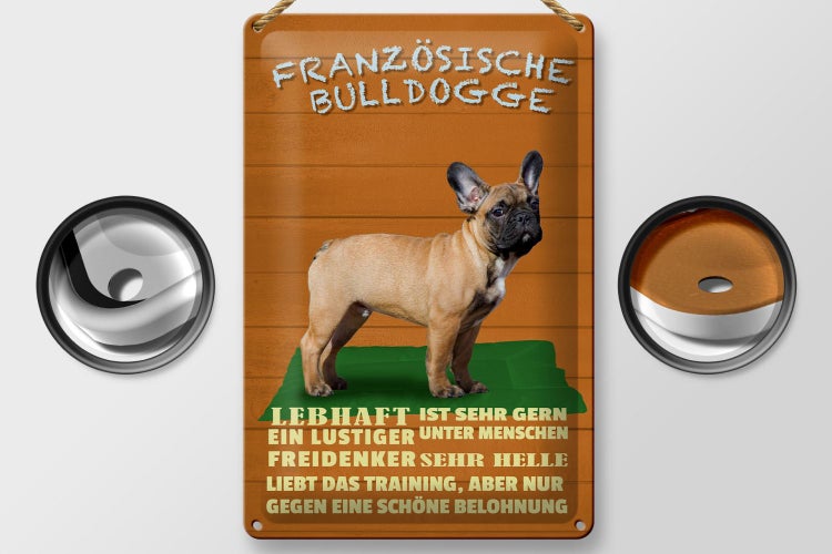 Blechschild Spruch 20x30cm französische Bulldogge Hund