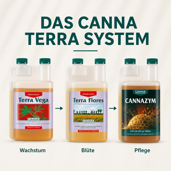 Canna Terra Pflanzendüngersystem bestehend aus Terra Vega für das Wachstum, Terra Flores für die Blüte und Cannazym für die Pflanzenpflege.