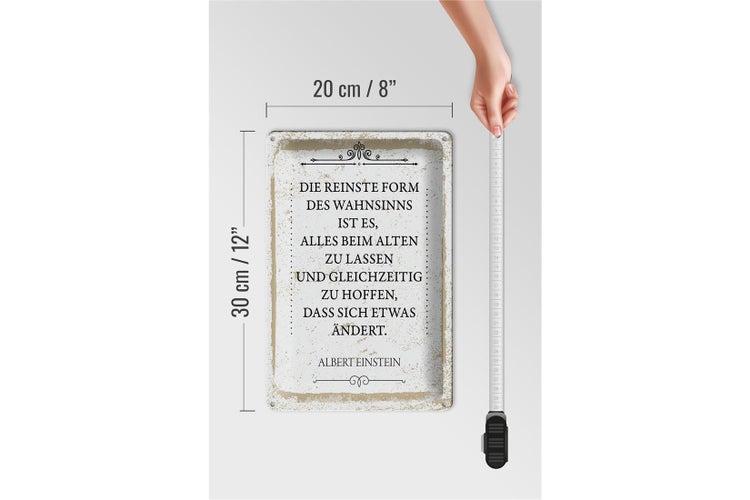 Blechschild Spruch Einstein reinste Form Wahnsinns 20x30cm
