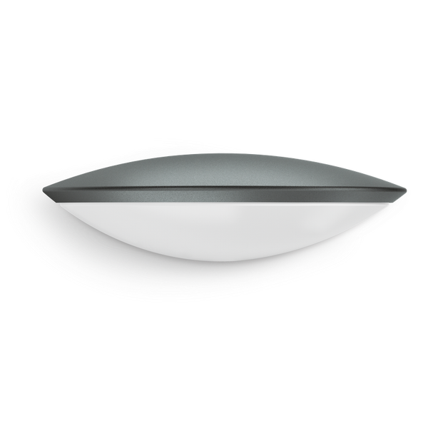 Ovale Außenwandleuchte mit grauem Gehäuse und weißem Diffusor.