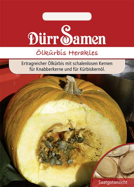 Samentüte für Ölkürbis Herakles von Dürr Samen mit Dürr Samen Logo und Abbildung eines aufgeschnittenen Kürbisses mit Kernen.