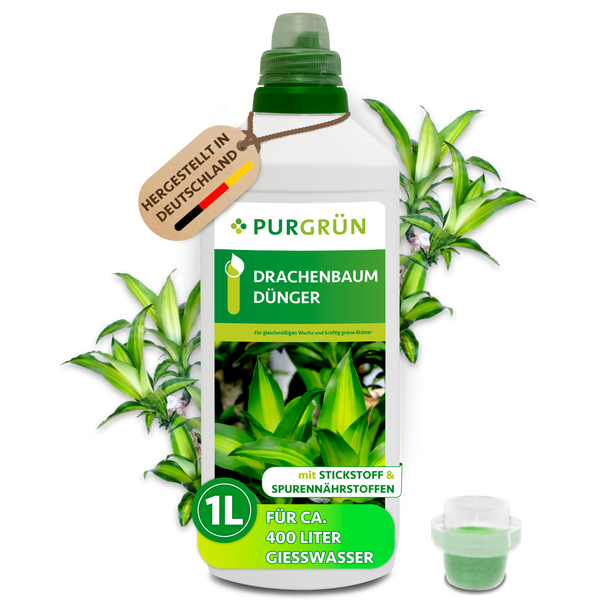 Eine Flasche Purgrün Drachenbaum Dünger mit einem Liter Inhalt, hergestellt in Deutschland, mit Stickstoff und Spurennährstoffen.