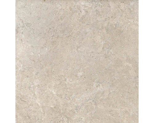 Wand- und Bodenfliese Jurassic beige 60x60 cm