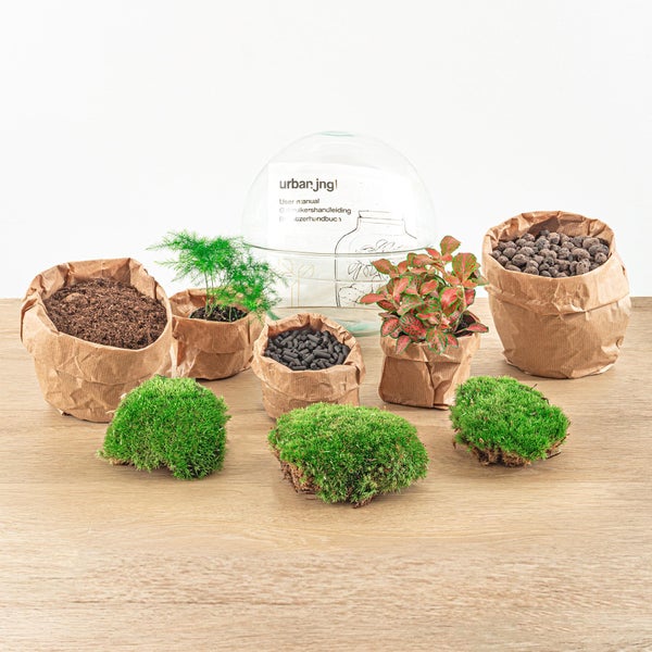 Flaschengarten Dome Glaskugel DIY-Pflanzenterrarium 20 cm incl. Rechen Schaufel Pinzette und Schere