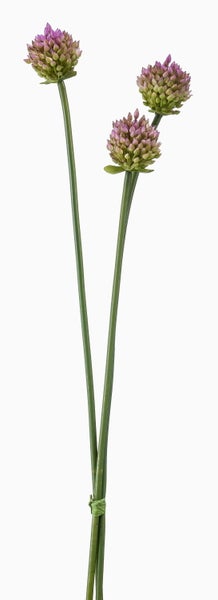Künstlicher Allium-Zierlauch mit drei Stielen und violetten Blüten, unten zusammengebunden.