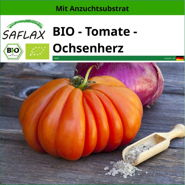 SAFLAX  - BIO - Tomate - Ochsenherz - Solanum lycopersicum - 10 Samen - Mit keimfreiem Anzuchtsubstrat