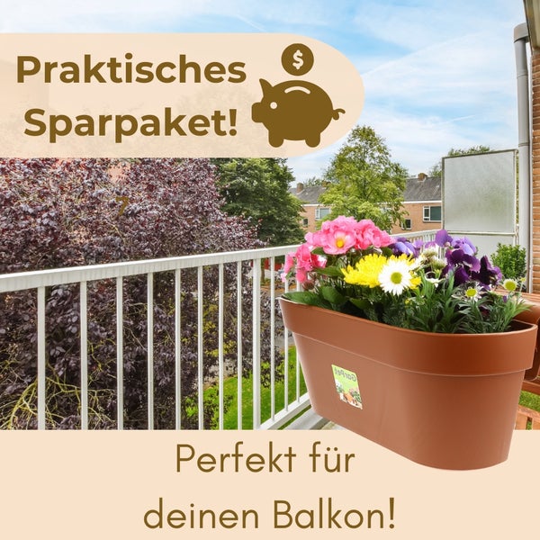 Blumenkasten mit verschiedenen Blumen auf einem Balkon