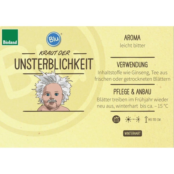 Kraut der Unsterblichkeit - in BIO-Qualität - Gynostemma pentaphyllum - Kräuterpflanze im 12cm Topf