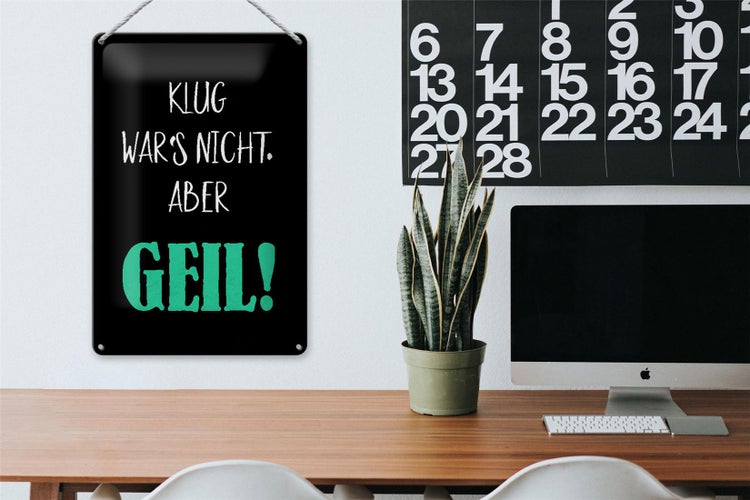 Blechschild Spruch 20x30cm klug war nicht aber geil