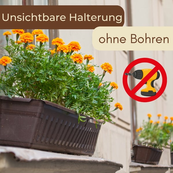 Blumenkasten mit Ringelblumen, unsichtbare Halterung, keine Bohrmaschine erforderlich