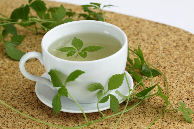 SAFLAX  - Pflanze der Unsterblichkeit - Gynostemma pentaphyllum - 30 Samen