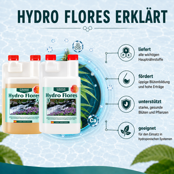 Produktinformation zu CANNA Hydro Flores A und B Blumendünger für hydroponische Systeme mit Darstellung der Inhaltsstoffe und Anwendungsvorteile.