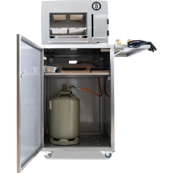 Korianderpflanze mit Samen