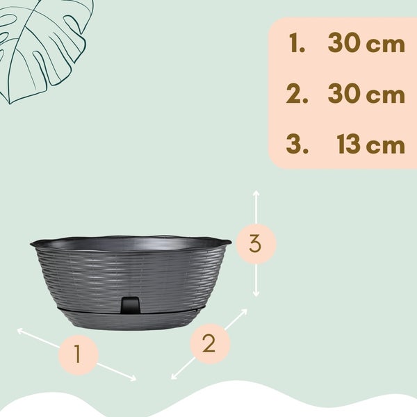 Grauer Pflanzkübel mit Abmessungen: 30 cm Breite, 30 cm Tiefe und 13 cm Höhe