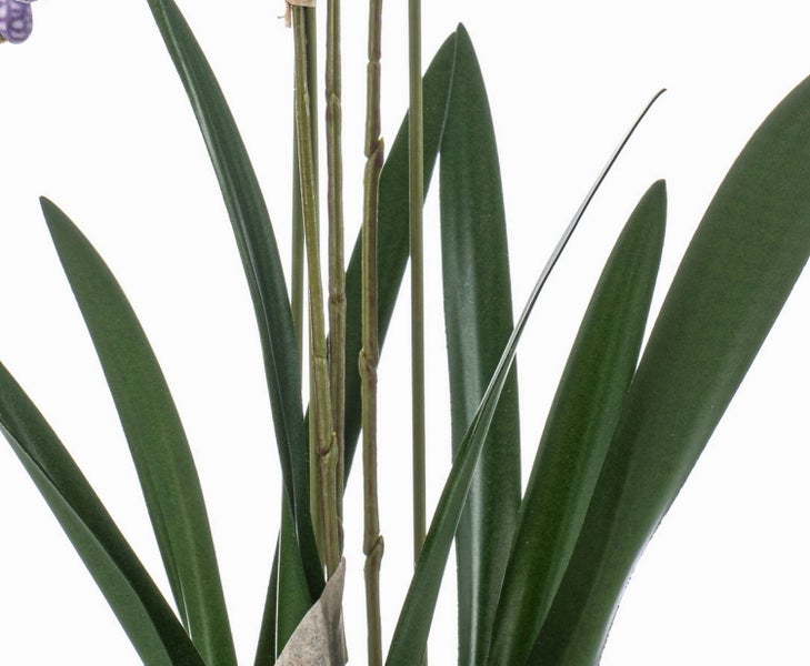 Zylindrischer Übertopf in Steinoptik mit strukturierter Oberfläche und einer Pflanze mit Luftwurzeln.