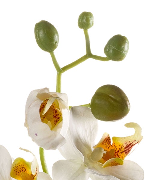 Detailaufnahme einer künstlichen Bananenpflanze mit großen grünen Blättern und realistischer Blattstruktur.