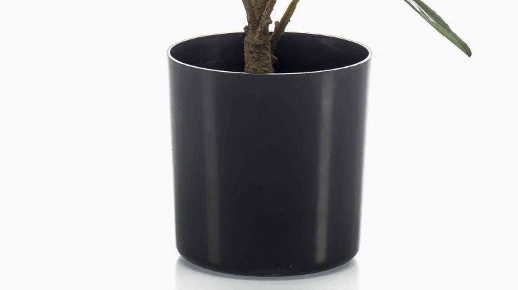 Schwarzer Blumentopf aus Kunststoff mit einer Pflanze.