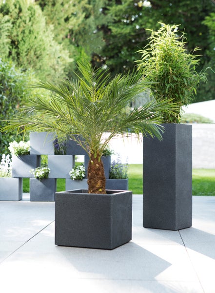 Scheurich C-Cube 30, Pflanzgefäß/Blumentopf/Pflanzkübel, quadratisch,  aus Kunststoff Farbe: Stony Black, 28,5 cm Durchmesser, 27 cm hoch, 18 l Vol.