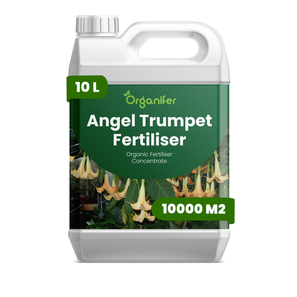 Drei Flaschen Organifer Gänseblümchen-Dünger, organisches Flüssigdünger-Konzentrat, 3 Liter für circa 3000 Liter Düngemittel.