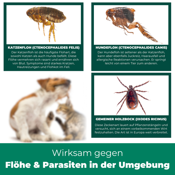 Darstellung von Katzenfloh, Hundefloh und Gemeinem Holzbock sowie Hinweis auf Wirksamkeit gegen Flöhe und Parasiten