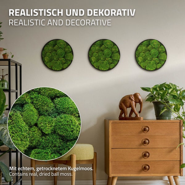 Drei runde Wandbilder mit echtem, getrocknetem Kugelmoos in schwarzen Rahmen als dekorative Wandgestaltung in einem Wohnraum.