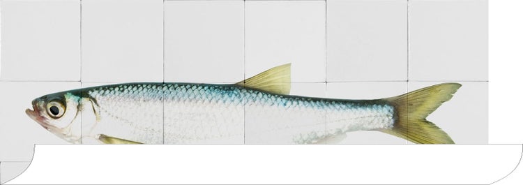 Dekorfliese mit Fischmotiv