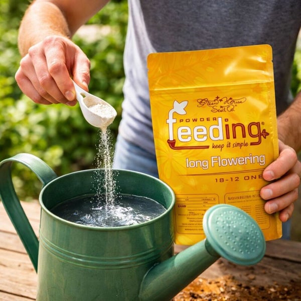 Person mischt Dünger in einer Gießkanne für die Gartenarbeit