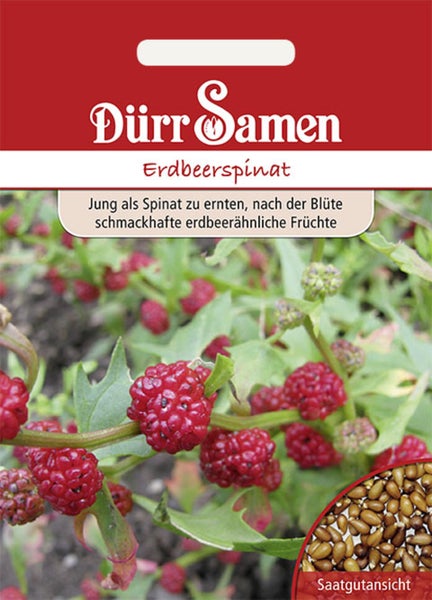 Samentüte für Erdbeerspinat mit Dürr Samen Logo, Abbildung der Pflanze mit roten Früchten und grünen Blättern sowie einer Detailansicht der Samen.