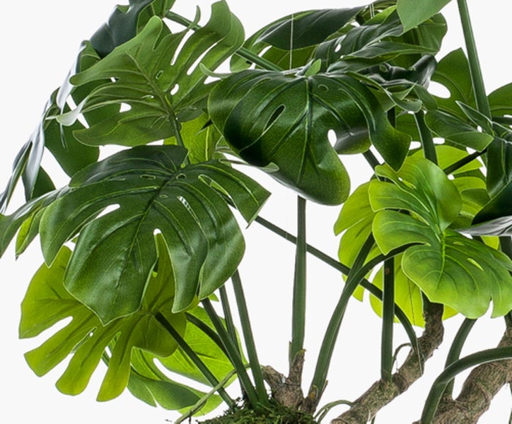 Kunstpflanze Monstera mit großen geschlitzten Blättern und detailgetreuen Stämmen.