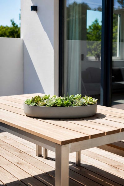 Flache Pflanzschale mit Sukkulenten auf einem hölzernen Gartentisch auf einer modernen Terrasse.