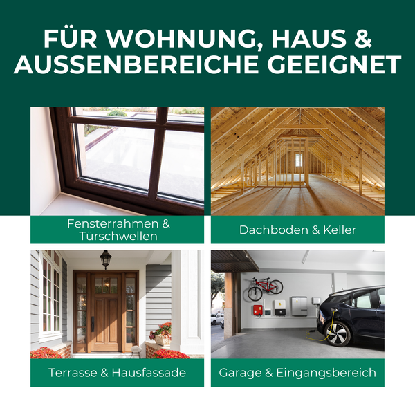 Silberkraft Spinnenspray 500 ml, Effektives Mittel gegen Spinnen in Haus, Wohnung & Garten, Langzeitwirkung bis zu 3 Monate, Alternative zu Spinnengift & Spinnenfallen
