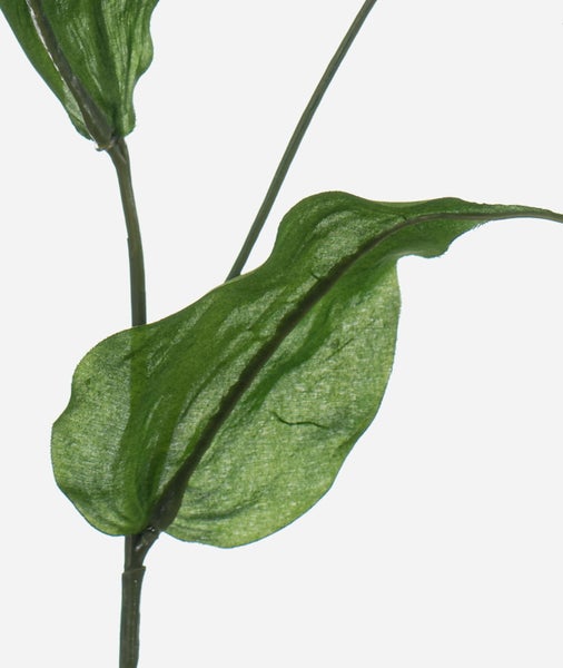 Künstlicher Philodendron mit großen, tief gelappten grünen Blättern und zwei gelb-grünen Blütenknospen.