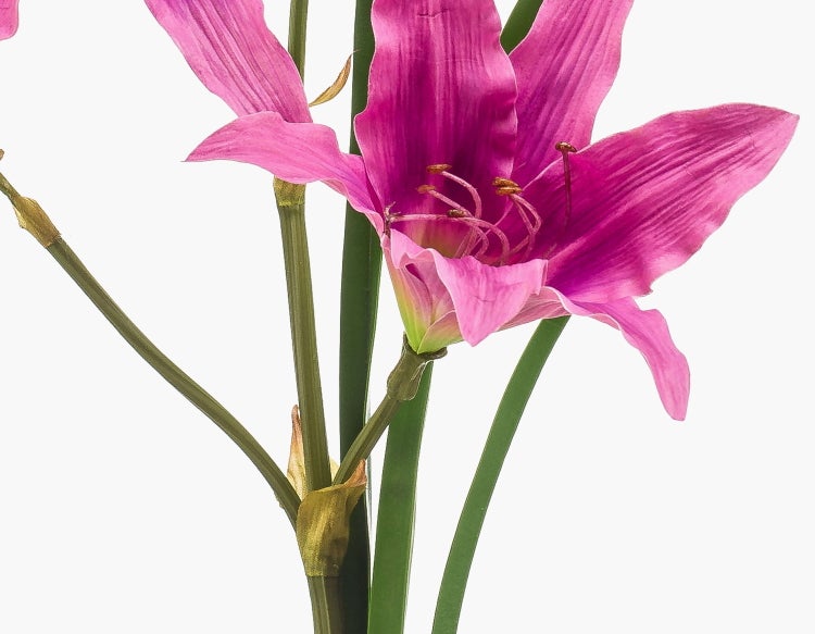 Künstliche rosa Lilie mit grünen Stielen und Knospen für die Dekoration.