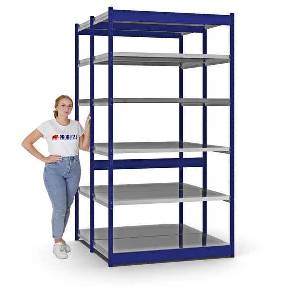 PROREGAL Fachbodenregal Stecksystem Vierkant-Profil Grundregal HxBxT 250 x 132,5 x 60 cm 2x6 Ebenen Doppelseitige Bauart Fachlast 200 kg Enzianblau