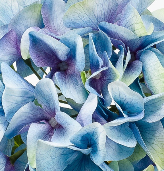 Künstliche Hortensie mit blau-grünlicher Blüte und grünem Stiel mit Blatt.