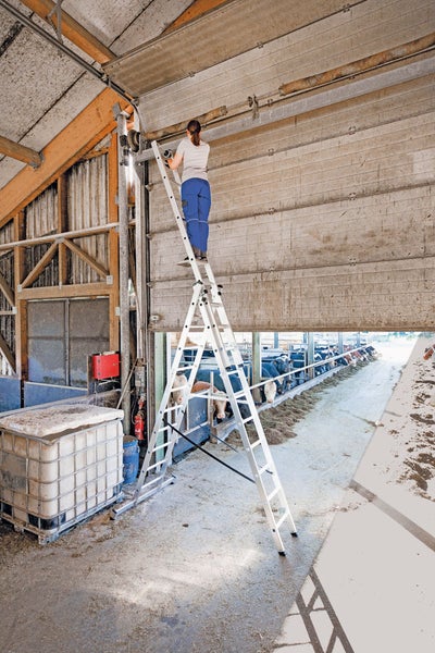 Frau auf einer Leiter bei Reparaturarbeiten in einem Stall.