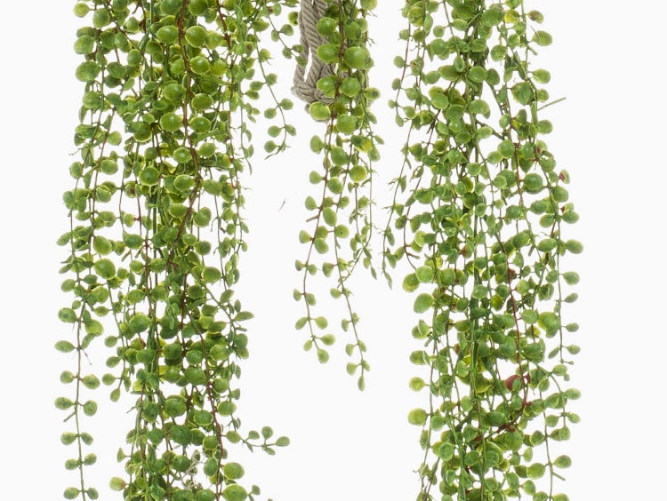 Künstliche Hängepflanze Senecio mit grünen perlenförmigen Blättern an einem dicken Seil.