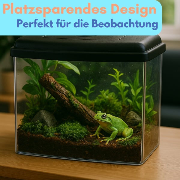 Kompaktes Terrarium mit Frosch, Pflanzen, Holz und Steinen auf einem Tisch
