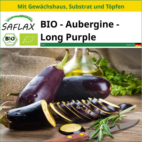 SAFLAX Anzucht Set - BIO - Aubergine - Long Purple - Solanum melongena - 20 Samen - Mit Mini-Gewächshaus, Anzuchtsubstrat und 2 Töpfen