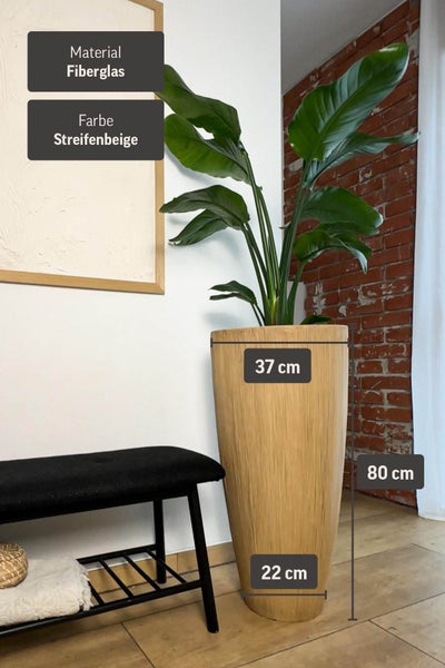 Konischer Pflanzkübel aus Fiberglas, Streifenbeige, Höhe 80 Zentimeter, Durchmesser oben 37 Zentimeter, unten 22 Zentimeter.