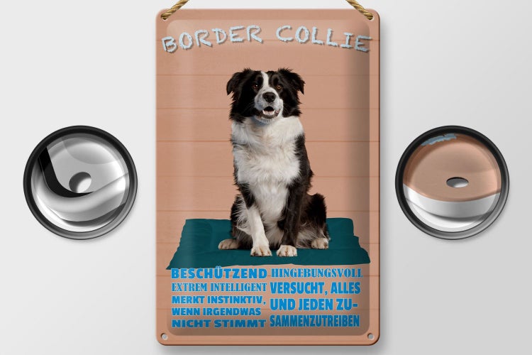 Blechschild Spruch 20x30cm Border Collie Hund intelligent