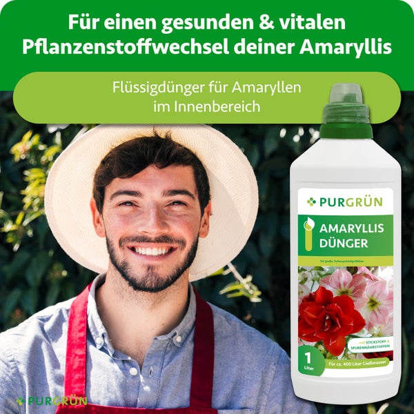 Purgrün Amaryllis-Dünger, 1 Liter Flasche für circa 400 Liter Gießwasser, abgebildet mit einem lächelnden Mann mit Hut.