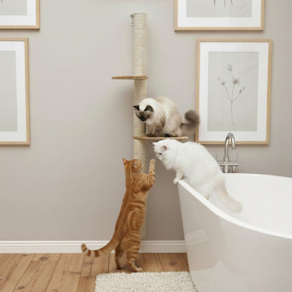 Wandmontierter Kratzbaum mit Sisalstamm und Liegeflächen für Katzen in einem Badezimmer mit Badewanne.