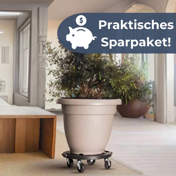 Pflanze im Topf auf einem Pflanzenroller mit der Aufschrift Praktisches Sparpaket