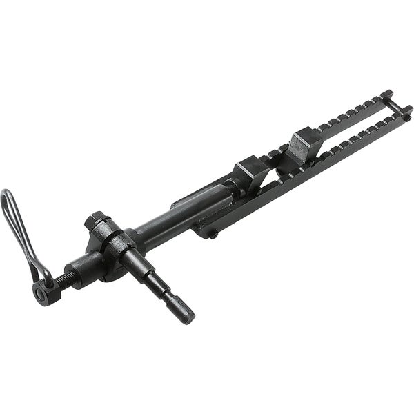 Nahaufnahme von Fetthenne mit weißen Blüten