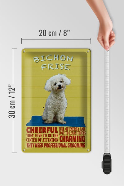 Blechschild Spruch 20x30cm Hund Bichon Frise cheerful