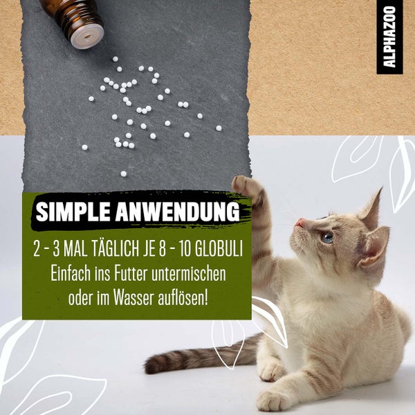 ALPHAZOO Muntermacher Bachblüten 15g für Hunde und Katzen I Spielfreude und Energie