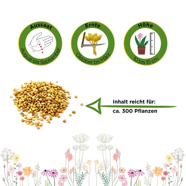 Aussaat von August bis September, Ernte von Oktober bis März, Höhe 10 bis 15 Zentimeter, Inhalt für circa 300 Pflanzen.