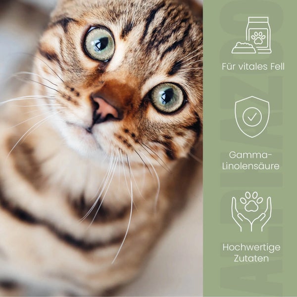 Nahaufnahme einer Katze mit Symbolen für vitales Fell, Gamma-Linolensäure und hochwertige Zutaten